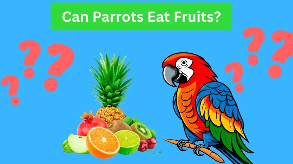 Can parrots eat fruits