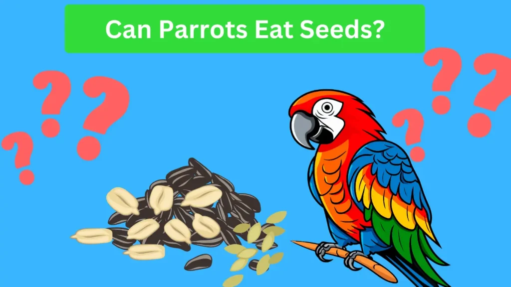 Can parrots eat seeds