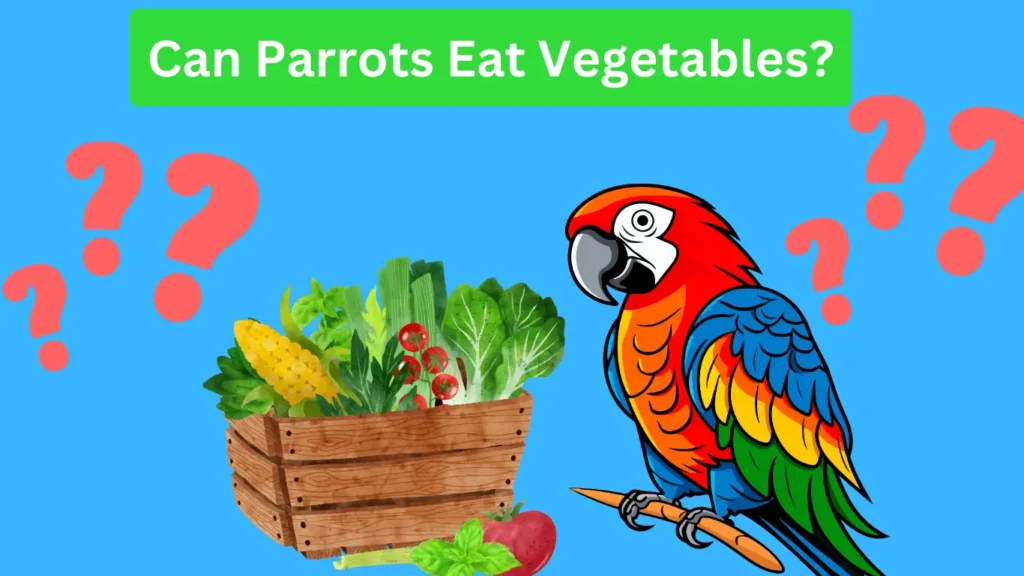 Can parrots eat vegetables