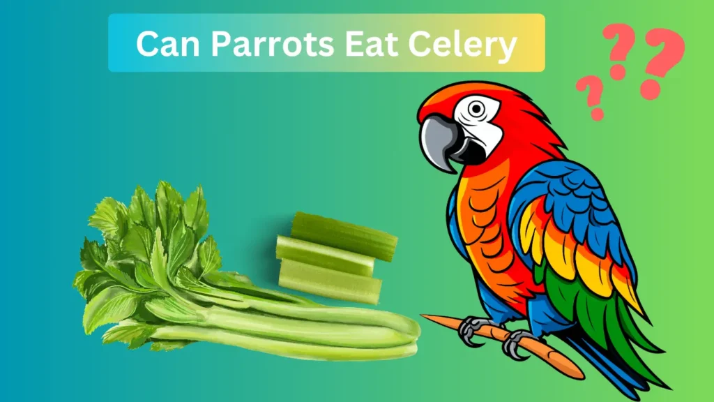 Parrot eating celery