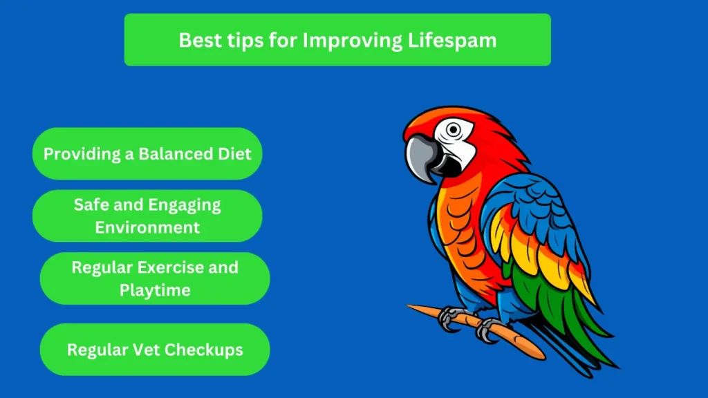 Best tips for Improving lifespam of parrots