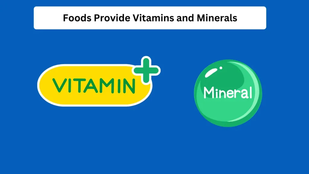 Foods provide vitamins and minerals for parrots