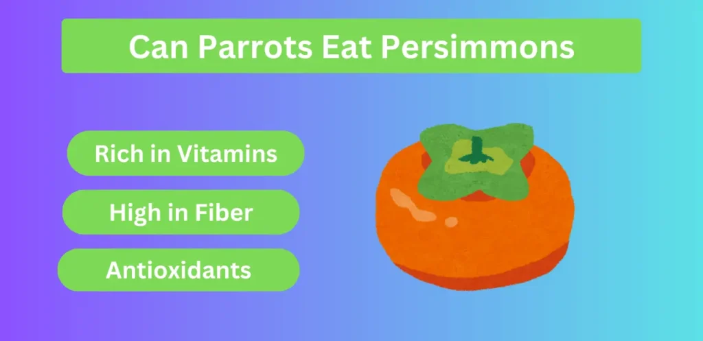 Can Parrots Eat Persimmons