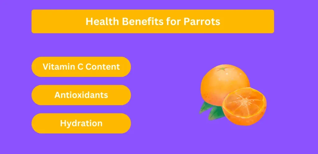 Health Benefits for Parrots