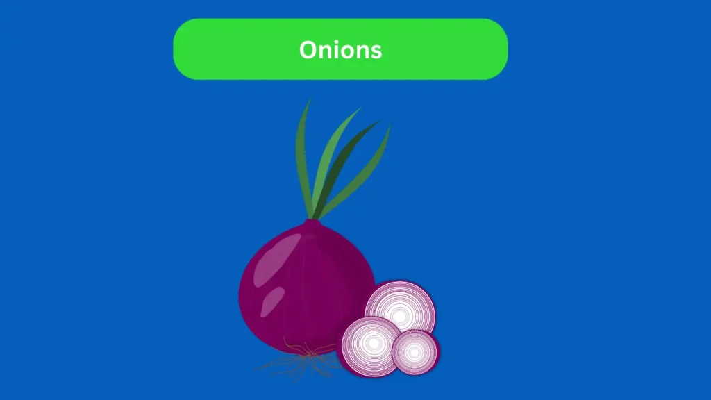 Onions and its pieces