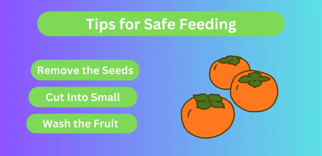 Tips for Safe Feeding