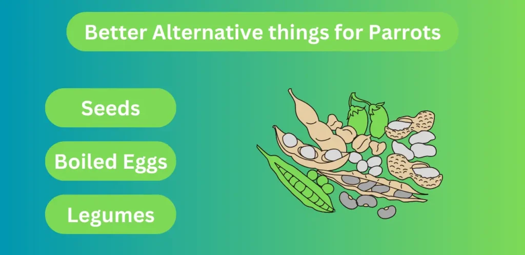 Better-Alternative-things-for-Parrots like vegetables