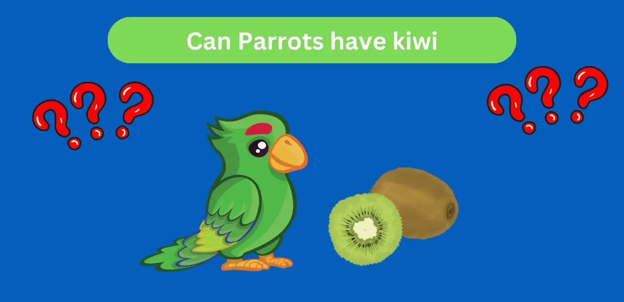 Can Parrots have kiwi