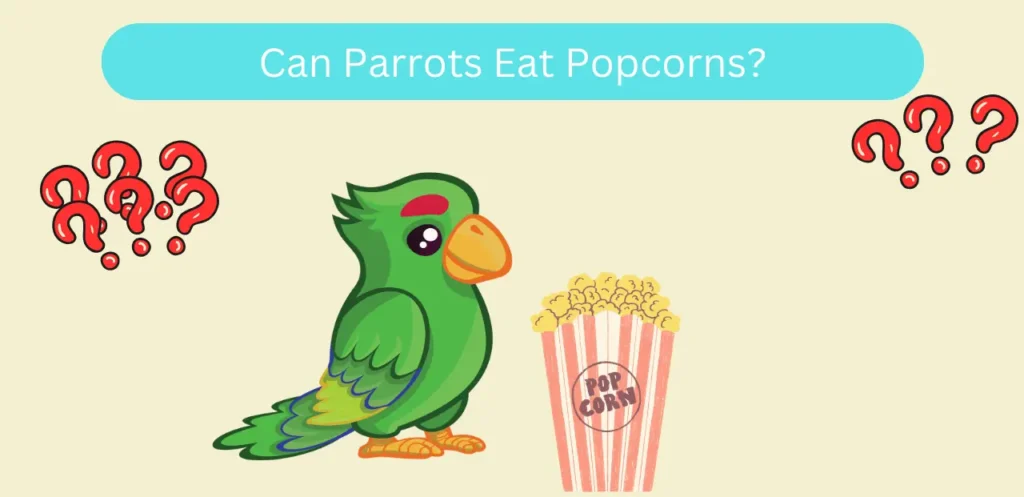 Can parrots eat popcorn