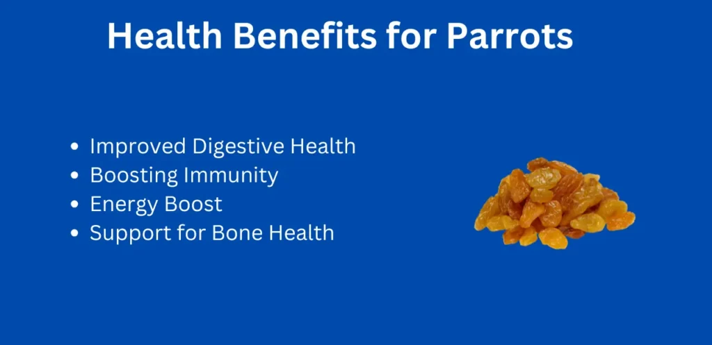 Health Benefits for Parrots