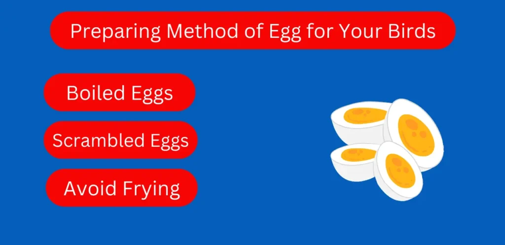 Preparing Method of Egg for Your Birds