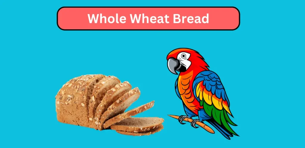 Whole Wheat Bread