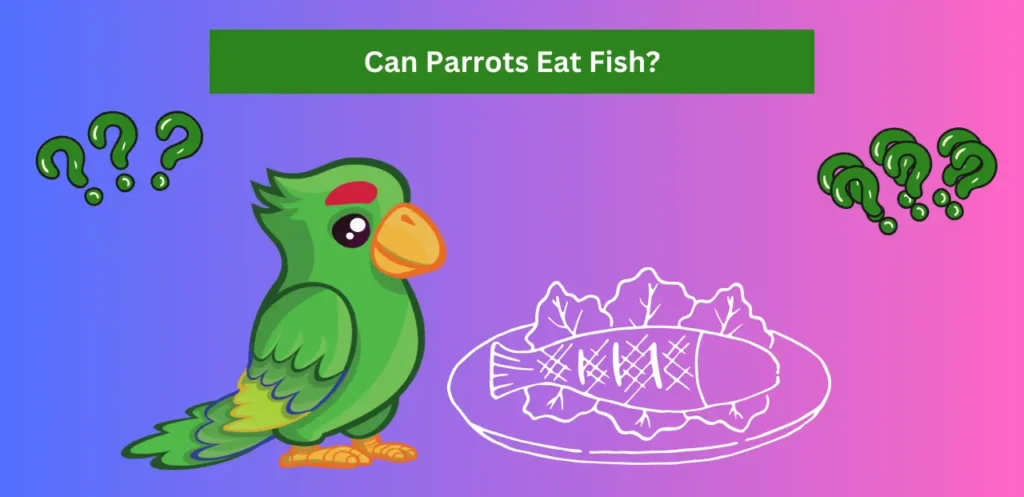 Can Parrots Eat Fish