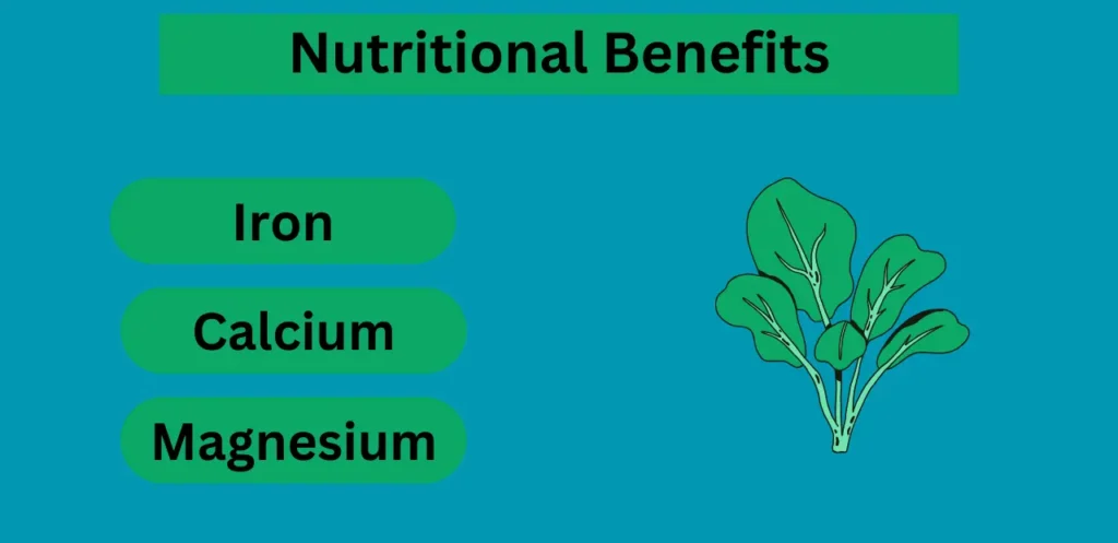 Nutritional Benefits