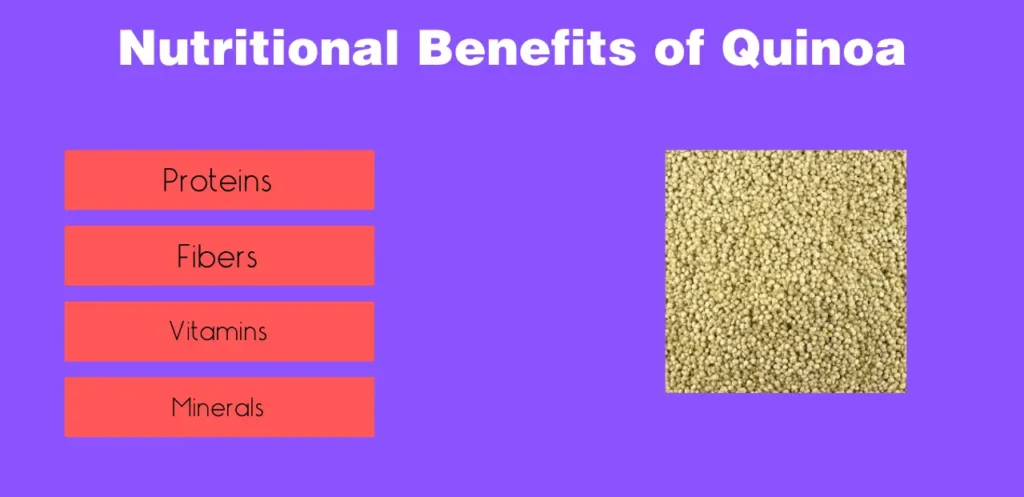 Nutritional Benefits of Quinoa 