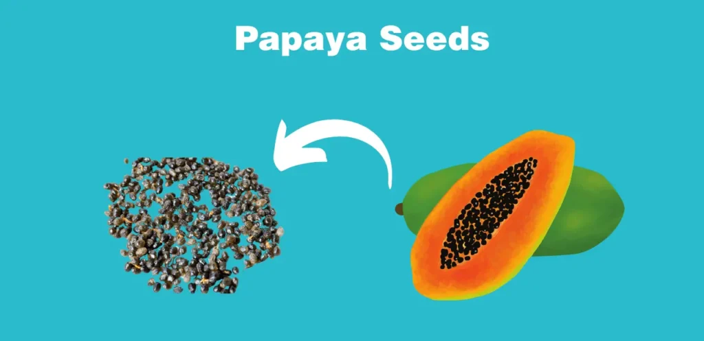 Papaya Seeds