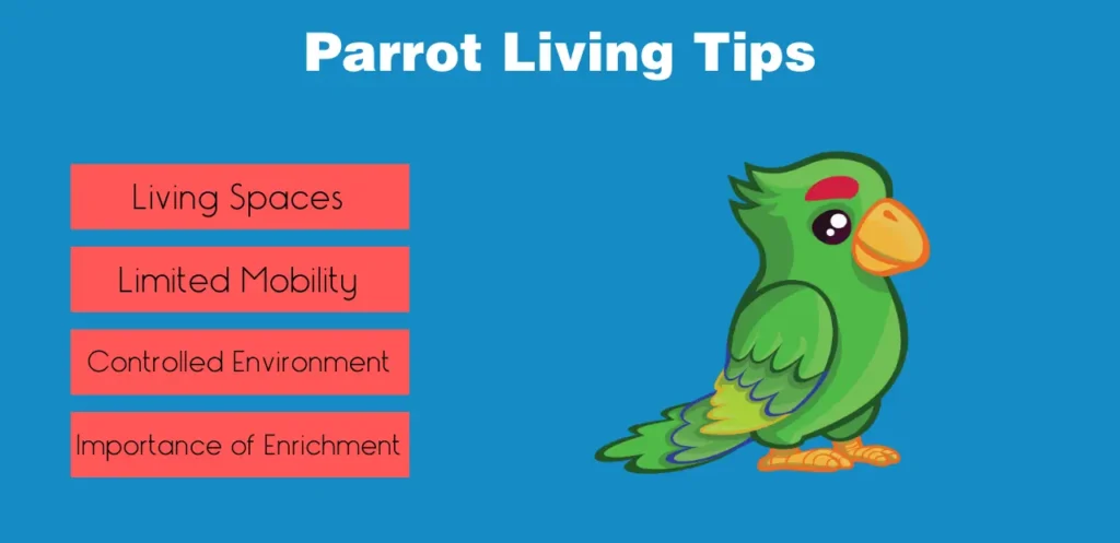 Parrot Living Tips