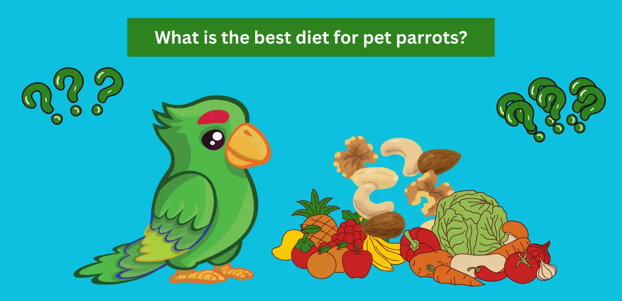 What is the best diet for pet parrots